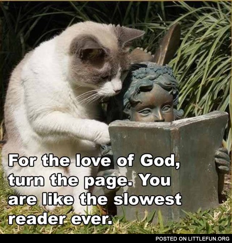 Turn the page