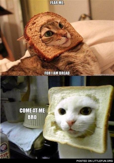 Fear me