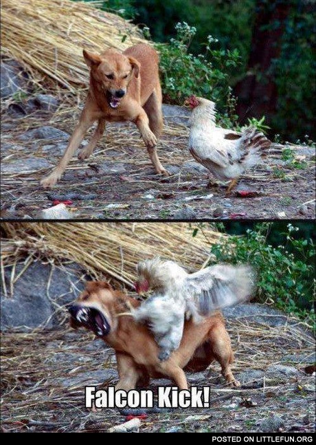 Falcon kick