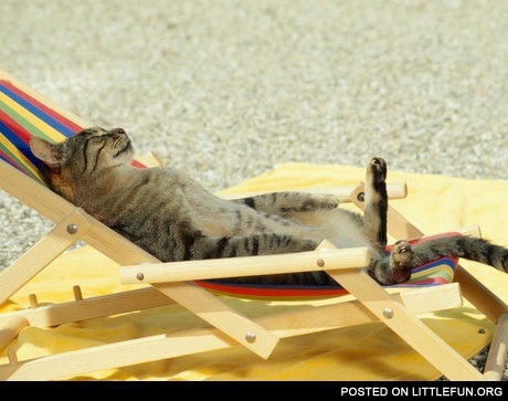 Beach holidays