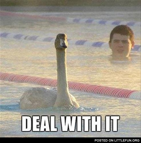 Deal with it