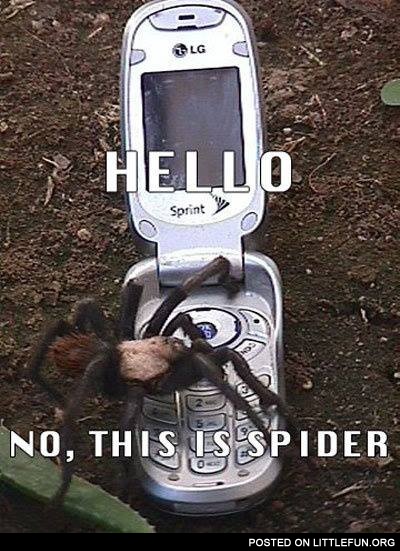 Hello, no, this is spider