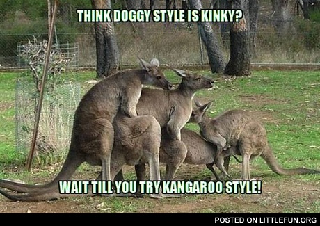 Kangaroo style