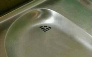 This water fountain has WiFi