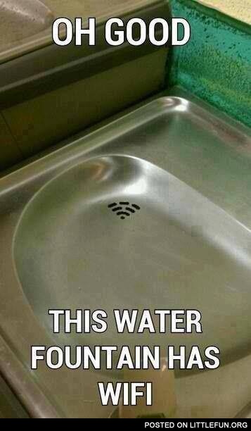 This water fountain has WiFi
