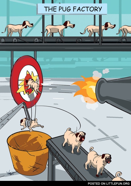 The pug factory