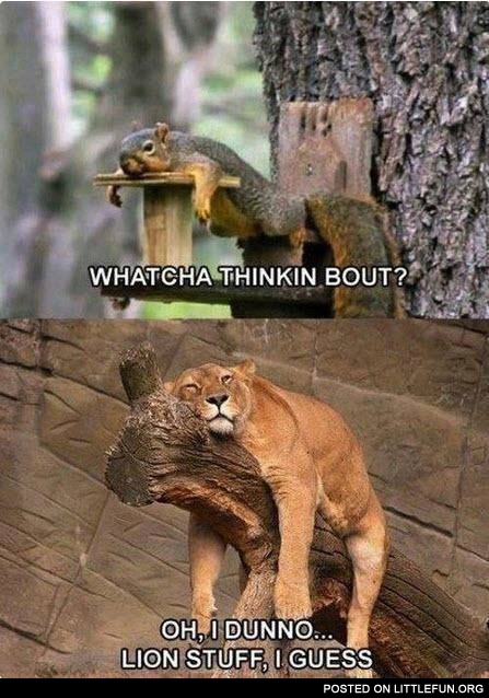 Whatcha thinkin bout?