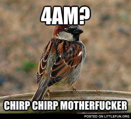 4am?