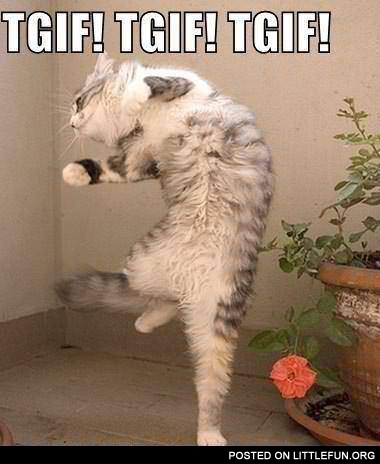 Tgif