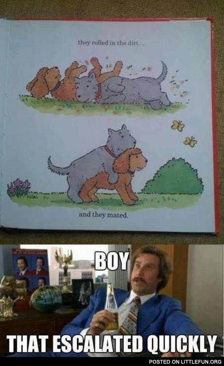 Boy, that escalated quickly