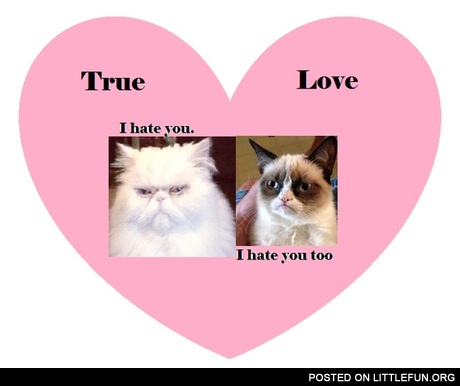True Love