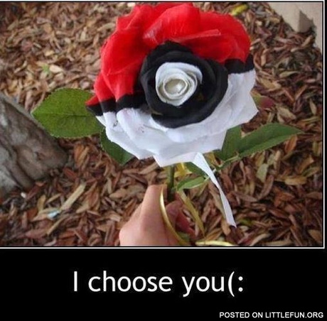 I choose you