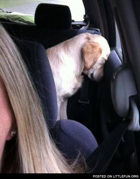 Probably she is bad driver