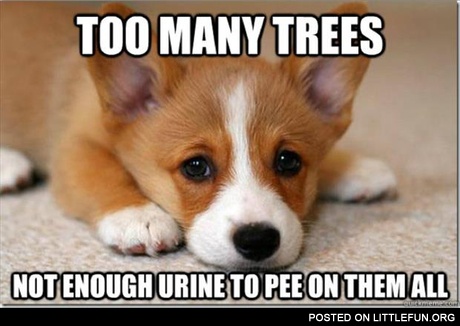 Too many trees