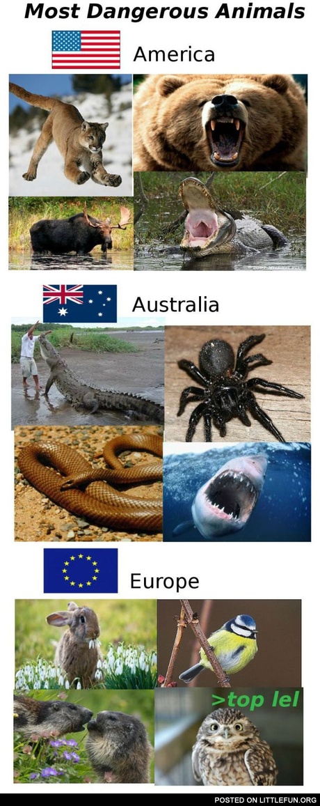 Meanwhile in Europe