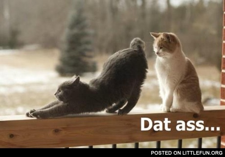 Dat ass...