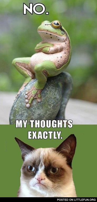 My thoughts