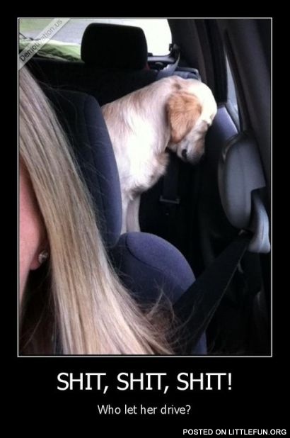 Who let her drive?