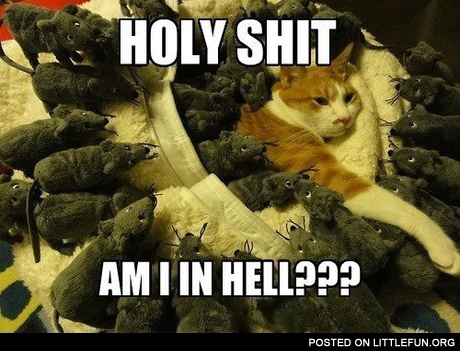 Am I in hell?