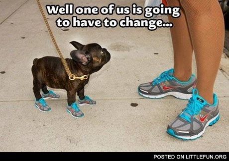 Same sneakers