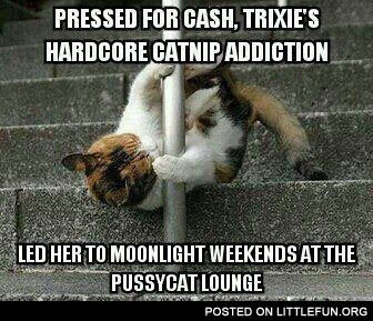 Pressed for cash