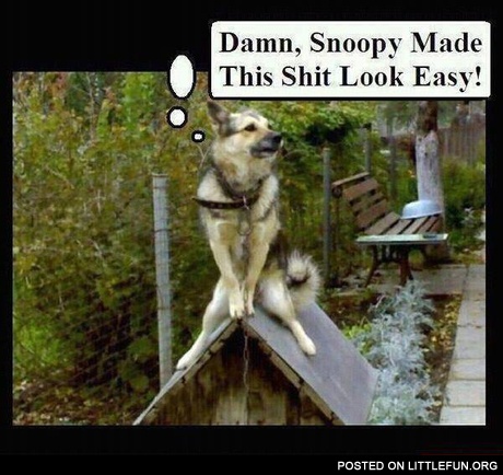 Snoopy made it look easy