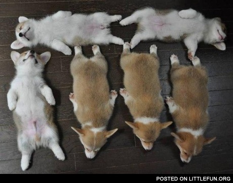 After dinner