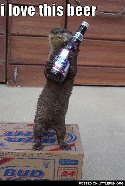 Otter and beer