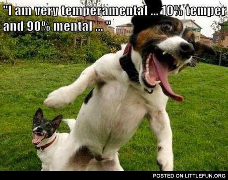 I am very temperamental