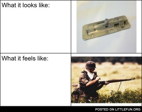 What it looks like, what it feels like