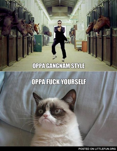 Oppa Grumpy Cat