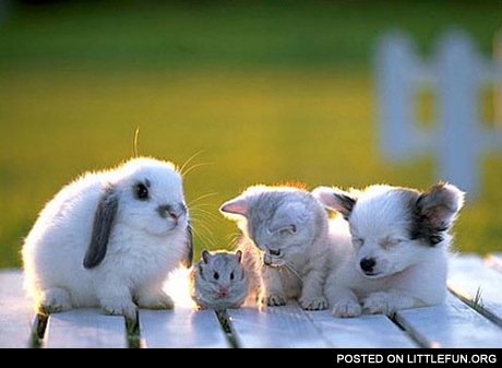 Cuteness time