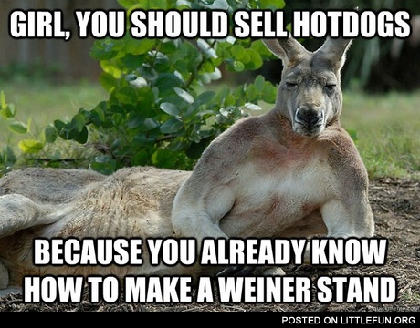 Girl, you should sell hotdogs