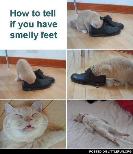 How to tell if you have smelly feet