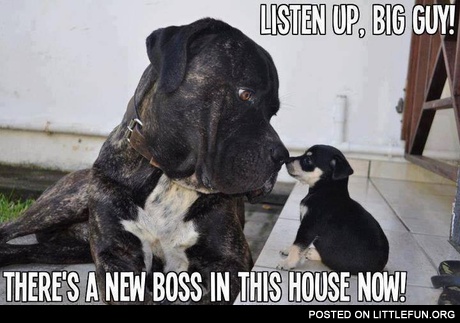 Listen up, big boy