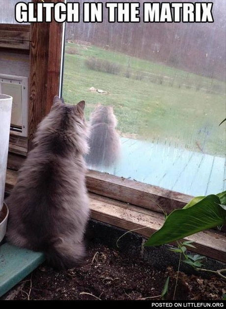 Glitch in the matrix