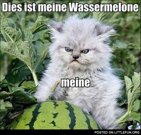 My watermellon