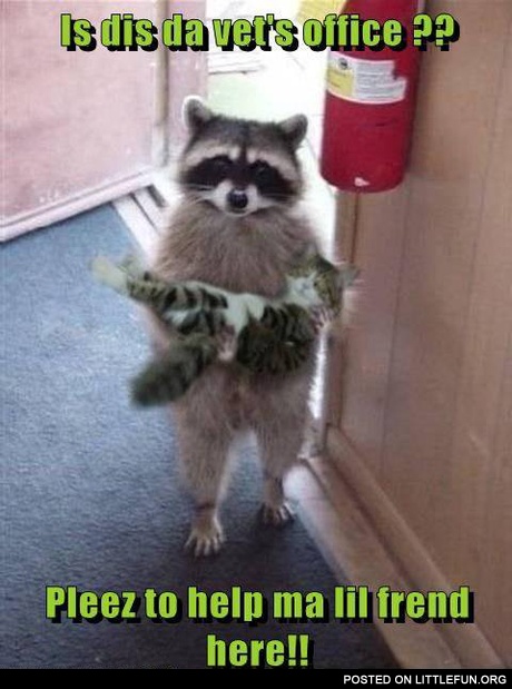 Vet's office