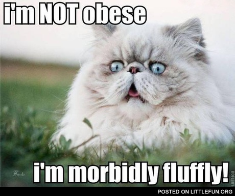 I'm not obese