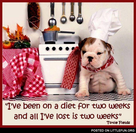 I've been on a diet for two weeks