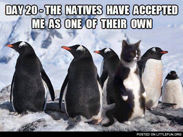 The natives have accepted me as one of their own