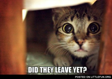 When my little nephews come to visit