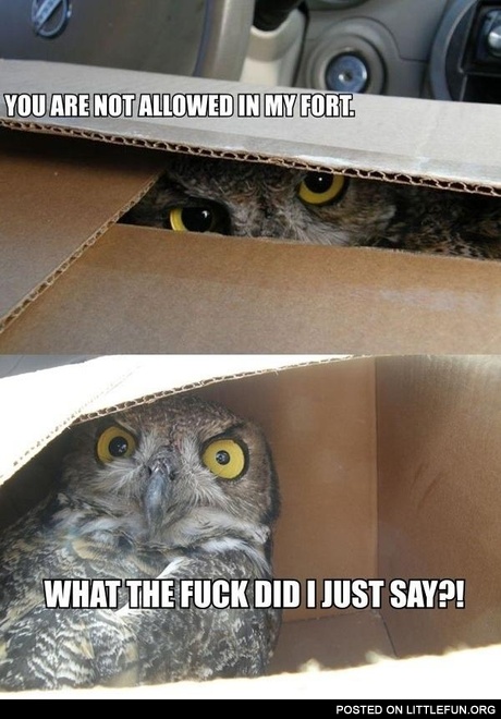 You are not allowed in my fort