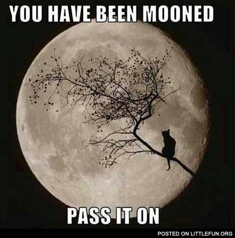 You have been mooned