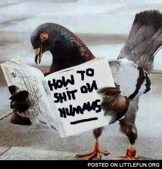 How to sh*t on humans