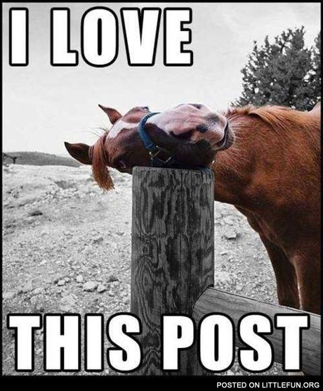 I love this post