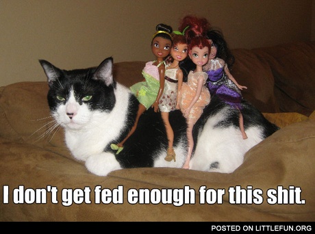 I don't get fed enough