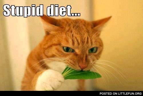Stupid diet