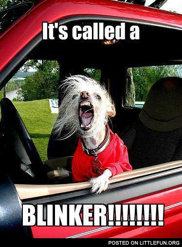 It's called a blinker