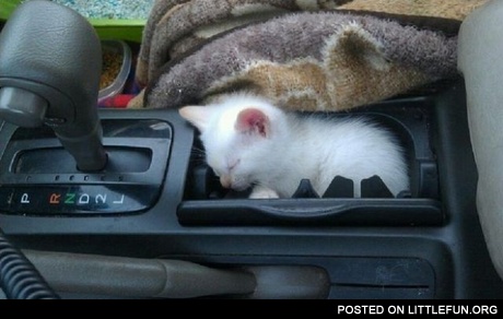 Sleeping in the car
